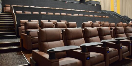 VIP cinema seating LS 813B IMG 4