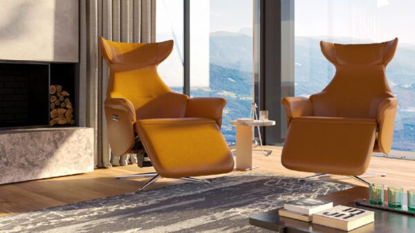 living room lounge chair