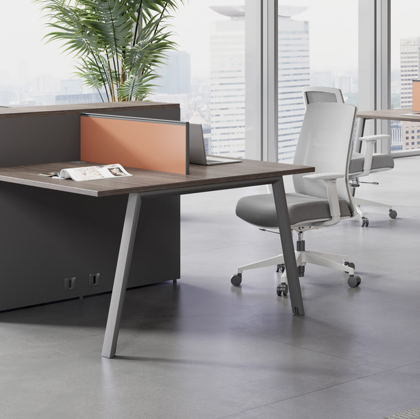 office workstation system 18