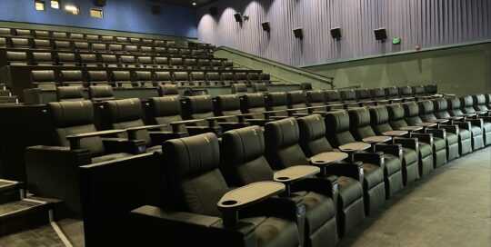 MetroLux 12 Theatres 1